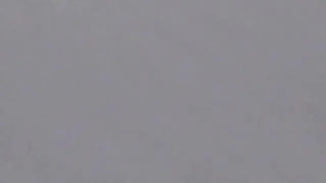 Japanese beauties show off hairy pussies while peeing in public